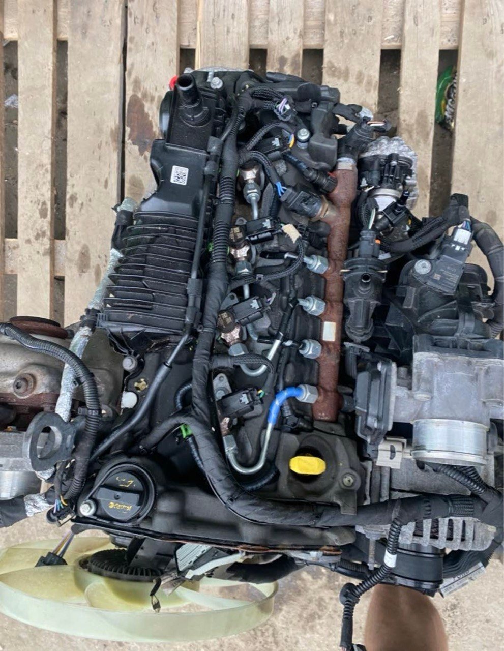 BMW M1 M88 Engine 1984 photo 1